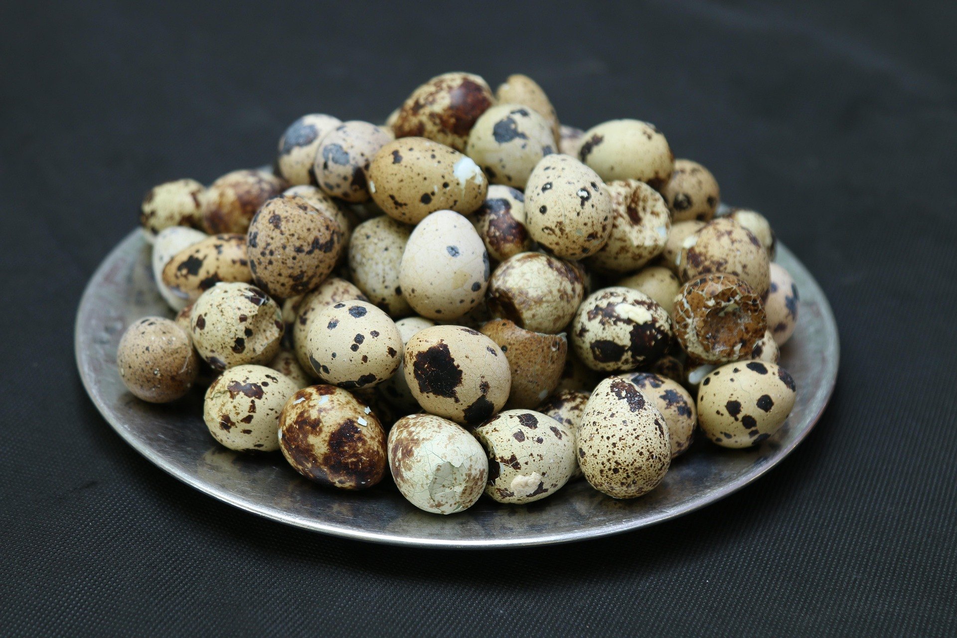Fresh quail eggs in a natural setting